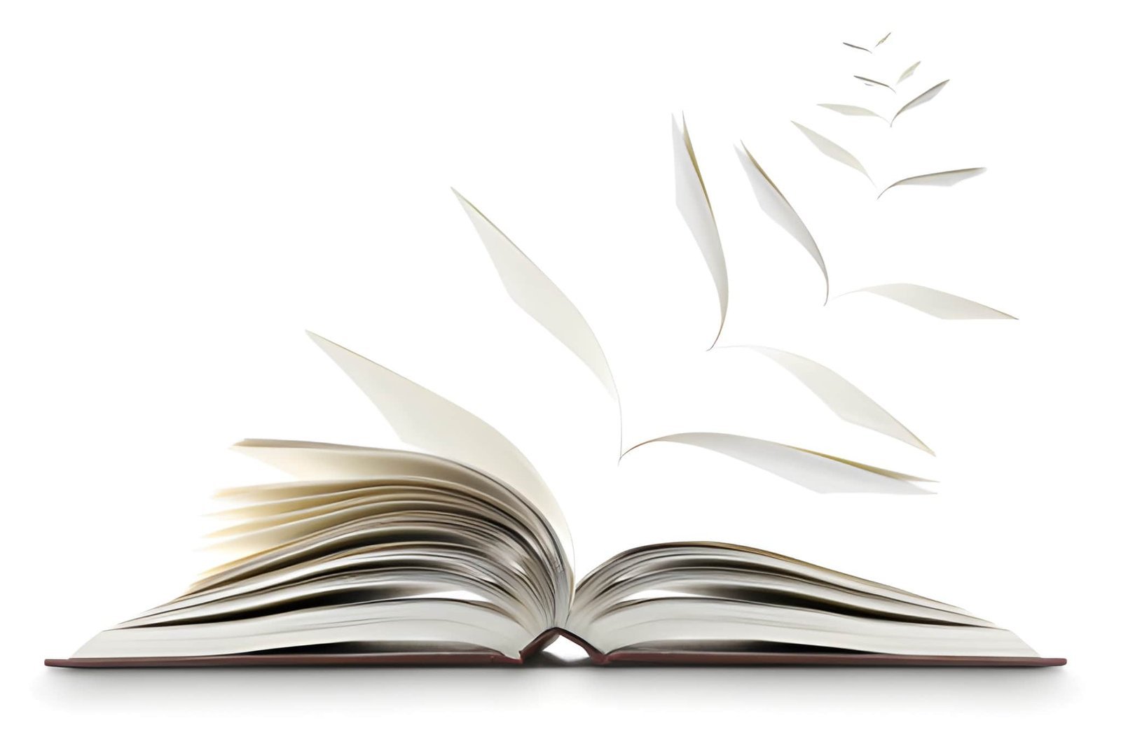 Test Article about knowledgeHub